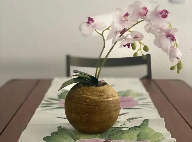 Temporada Maragogi - Centro Apartamento